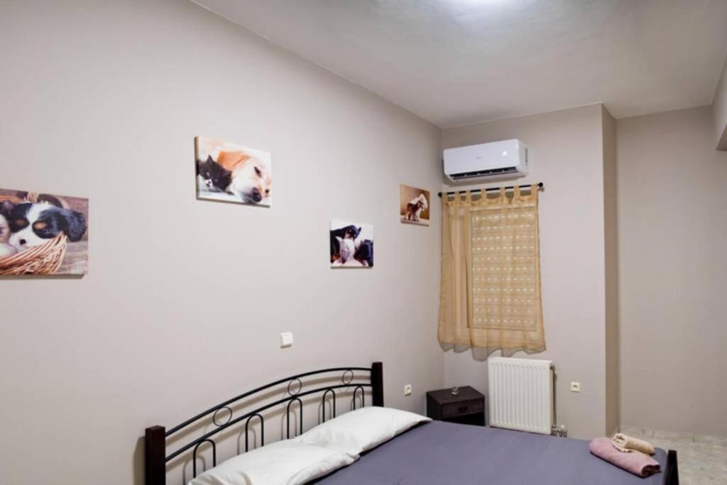 Apartmán Chalkis Green Leaf House Exteriér fotografie